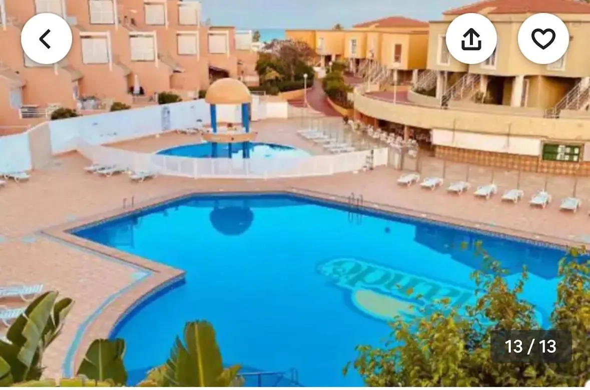 Orlando Grande Terassa contacts